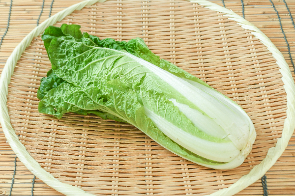 金時草（式部草） 【業務用食材の仕入れなら八面六臂】