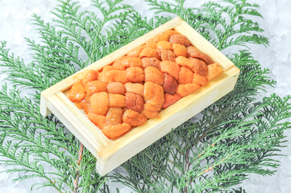 バフンウニ（Aバラ）（小箱）