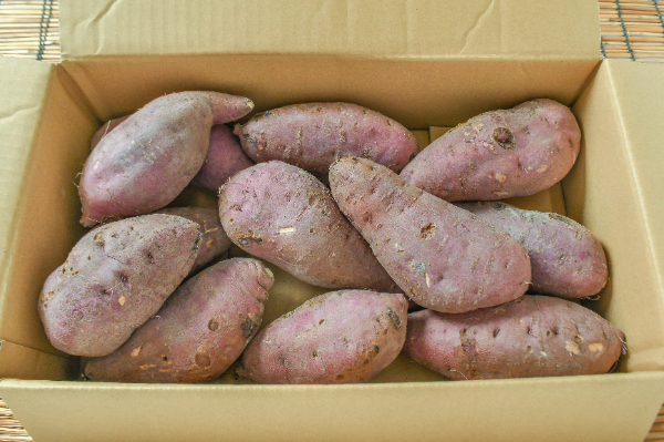 紅はるか（BL）箱5kg