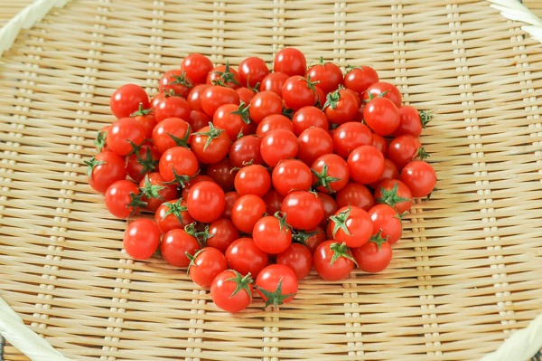 ミニトマト❤6苗 アイコ含む ランダム 抜き苗（ベランダ菜園トマト  