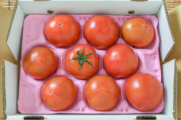 フルーツトマト（9玉）
