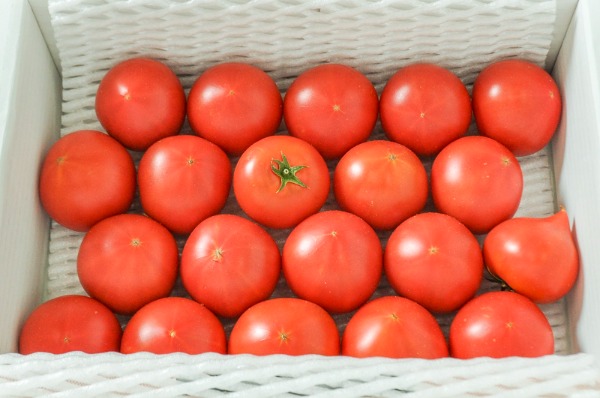 麗トマト（金2S）（糖度9度）箱1kg