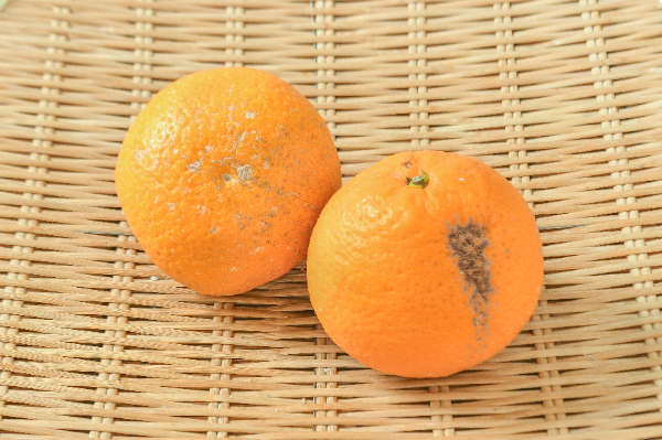 不知火（デコポン）（S） 【業務用食材の仕入れなら八面六臂】