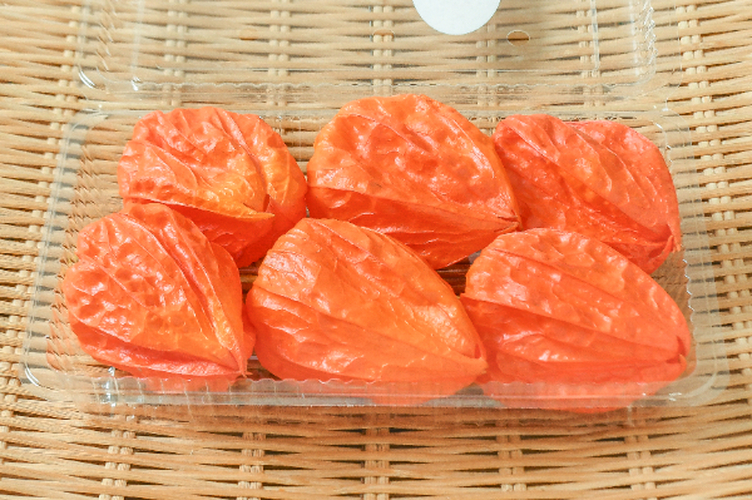 ほおずき（観賞） 【業務用食材の仕入れなら八面六臂】