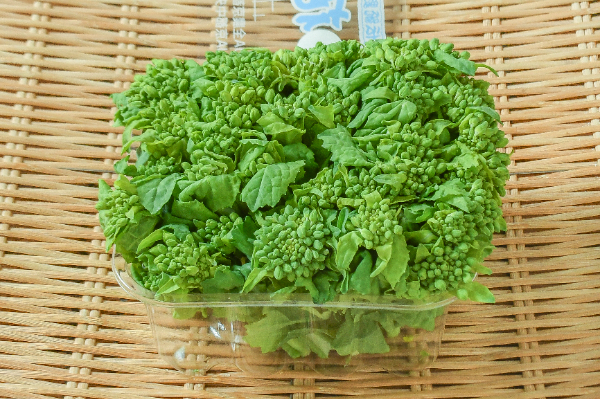 京菜花 【業務用食材の仕入れなら八面六臂】