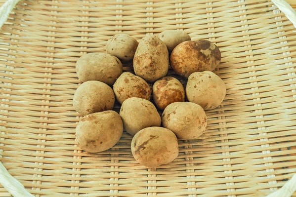 高級ジャガイモ 特売 10kg 10キロ 68（高級ジャガイモ 特売 10kg 10  