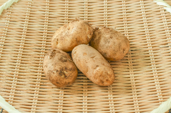 じゃがいも（M）（トヨシロ）500g