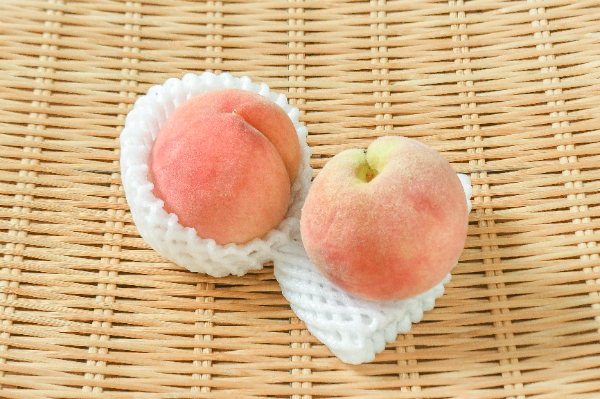 あかつき
