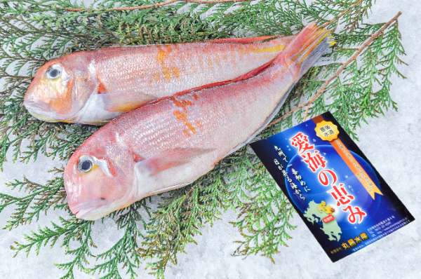 アカアマダイ（釣物）