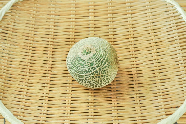 レッドメロン（7玉サイズ）