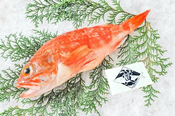 在庫状況かくにん ビッグちゃん様専用 刺し網 三枚網 3反セット ユメカサゴ 【業務