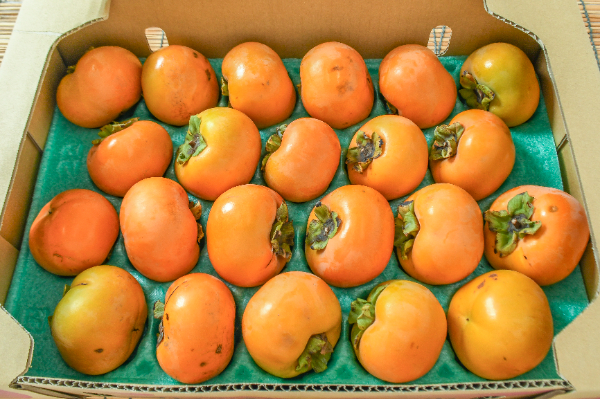 太秋柿（22玉サイズ）