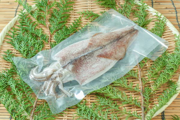 ヤリイカ開き干し