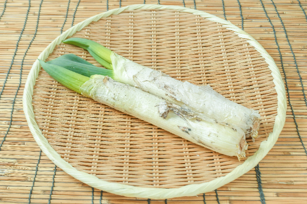 下仁田ねぎ（2L-3L）