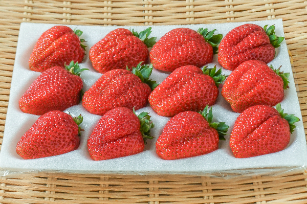 紅つやか（DX）