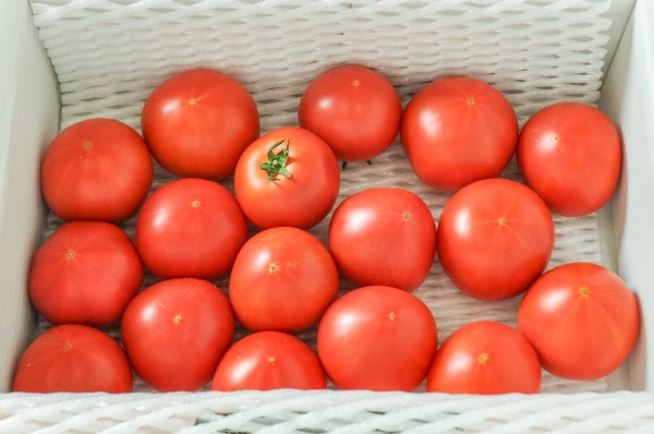 麗トマト（金S）（糖度9度）