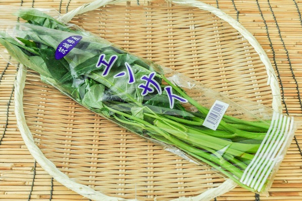 空芯菜 【業務用食材の仕入れなら八面六臂】 