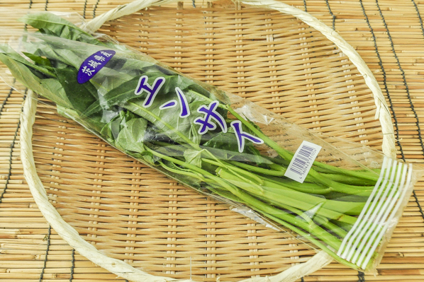 空芯菜 八面六臂
