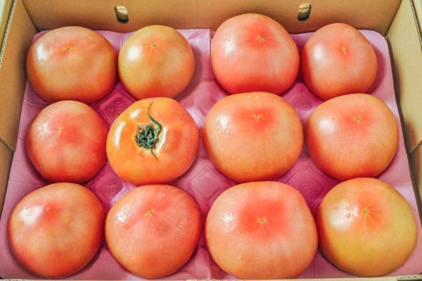 大玉トマト（3L）（12玉サイズ）箱4kg