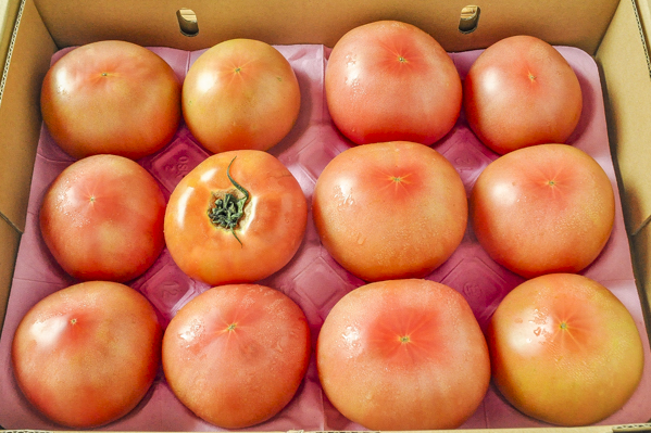 大玉トマト（3L）（12玉サイズ）4kg