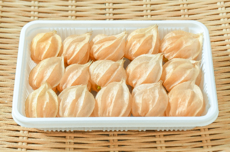 ほおずき（観賞） 【業務用食材の仕入れなら八面六臂】