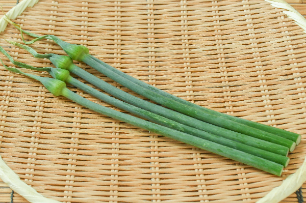 にんにくの芽　70gr