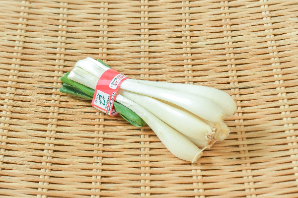 エシャレット（L）