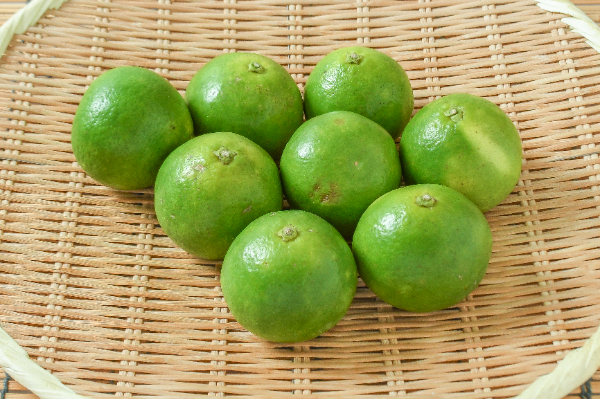 だいだい（B2L）