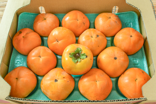 太秋柿（14玉サイズ）