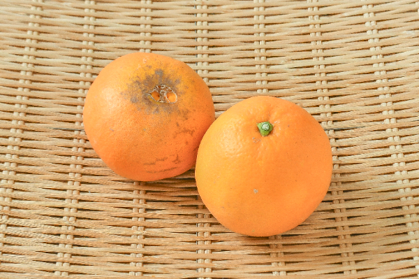 オレンジ（88玉サイズ） 【業務用食材の仕入れなら八面六臂】