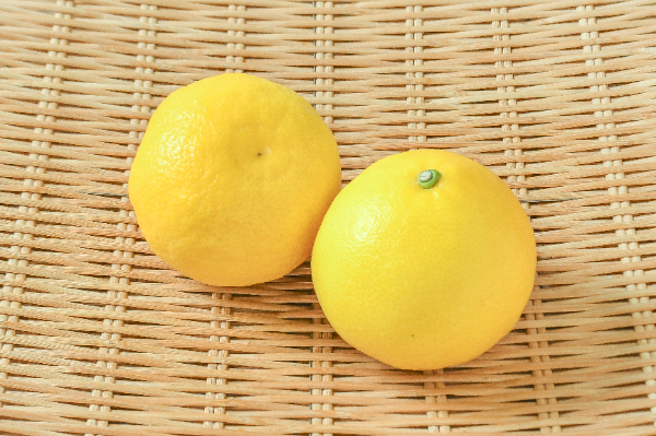 日向夏 【業務用食材の仕入れなら八面六臂】