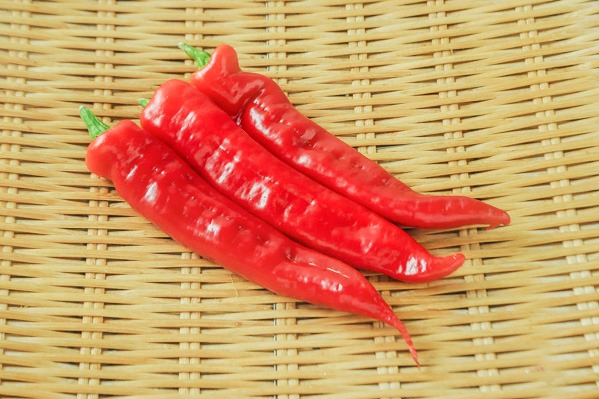 万願寺とうがらし（赤） 【業務用食材の仕入れなら八面六臂】