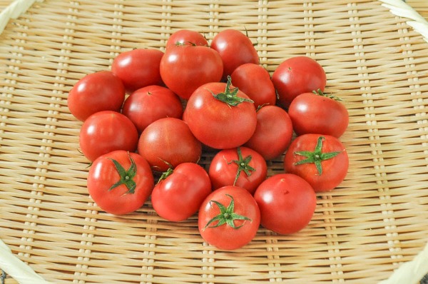 麗トマト（金S）（糖度9度）