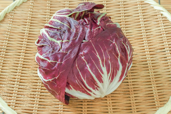 トレビス　600-800gr