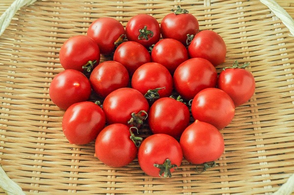 カンパリトマト（L）1kg