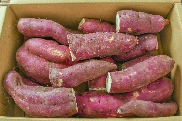 紅東（べにあずま） 【業務用食材の仕入れなら八面六臂】