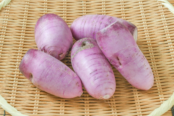 紫大根（味一）（B）1kg