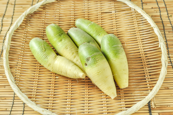 ビタミン大根 青大根 八面六臂