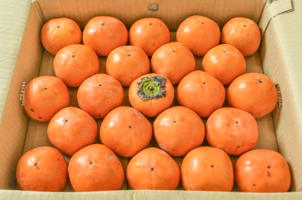 西村早生柿（23玉サイズ）（秀）