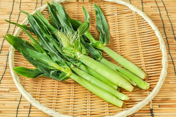 皮付きヤングコーン 八面六臂