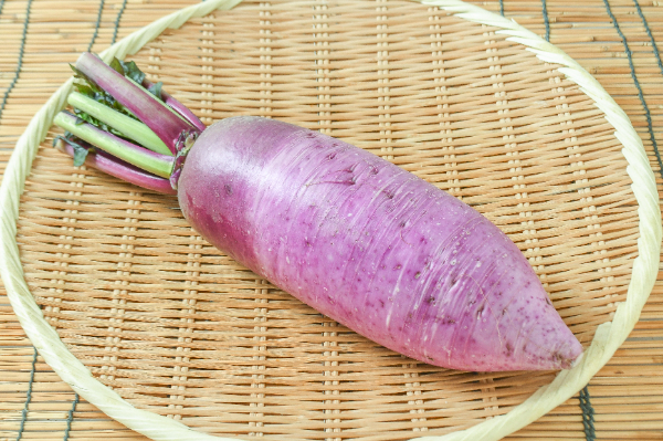 赤城しぐれ大根（2L）