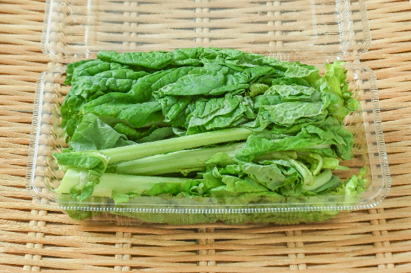 堀川ごぼう‼️10kg‼️掘り立て新鮮直送‼️ 堀川ごぼう‼️10kg‼️掘り立て新鮮直送‼️