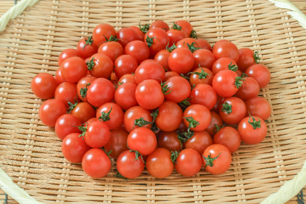 ミニトマト（2L）（キャロルスター）