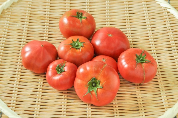 美トマト（丸L）（糖度8度）900gr