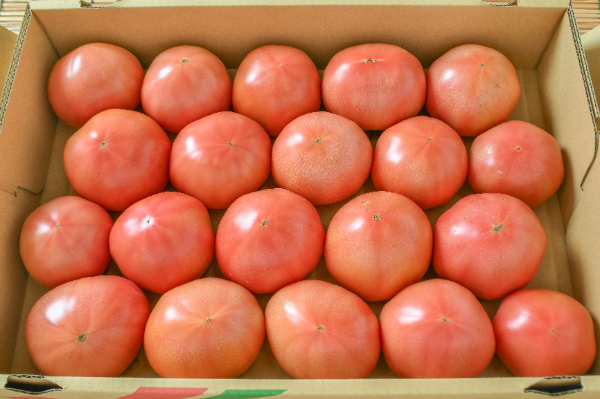 大玉トマト（20玉サイズ）（BL）