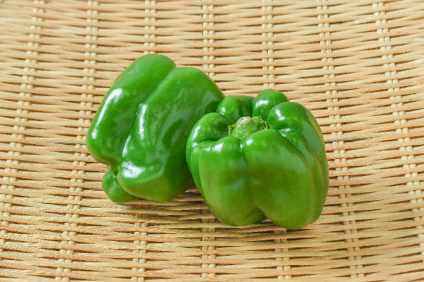 売り切れ！ツクシ　200g 採れたての土筆 土筆（つくし） 【業務用食材の仕入れなら八面六臂】