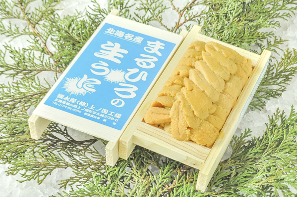 ムラサキウニ A並び 小箱 八面六臂