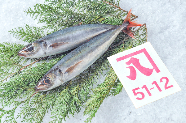 かねはち　オアカムロ（オアカアジ）（静岡県沼津産）