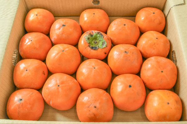 西村早生柿（18玉サイズ）（秀）