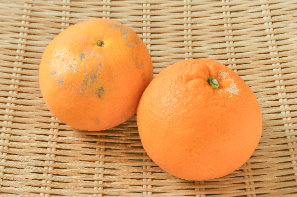 カプレーブ オレンジ(顔・体用)２本セット カラダファクトリーの「ネックプレス」 – KA·RA·DA MARCHÉ